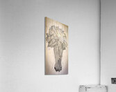 Floating Acrylic Print