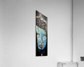 An old friend. Acrylic Print