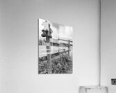 This one is just fun... Acrylic Print