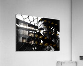 Anonymous 2 Acrylic Print