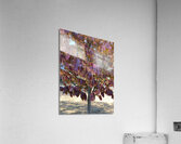 Almost sleepy time... Acrylic Print