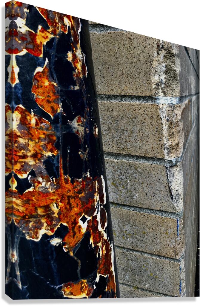 Mixed texture series 1 Canvas Print