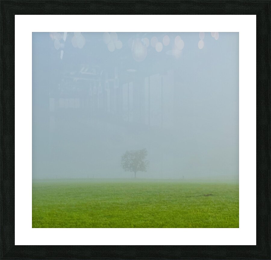 The P Tree Picture Frame print
