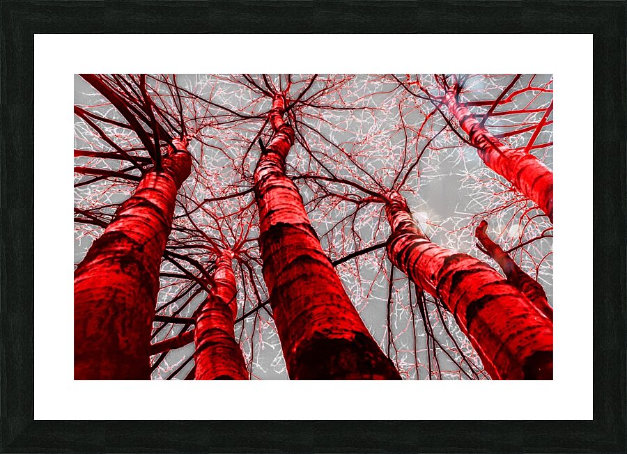 Playing with colour 1 Picture Frame print