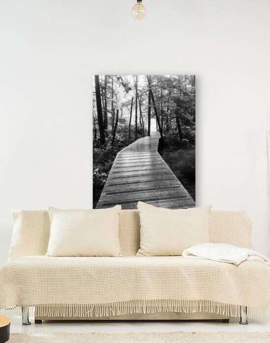 My morning walks  1 by Brian Mosby