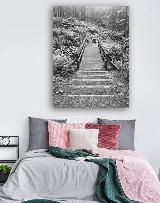 My morning walks 4 by Brian Mosby