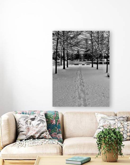 A lonely winters morning. by Brian Mosby