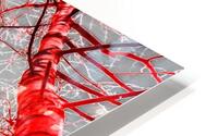 Playing with colour 1 HD Metal print