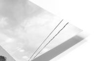 This one is just fun... HD Metal print