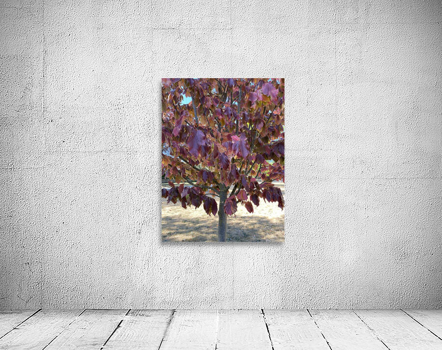 Almost sleepy time... Wall Preview