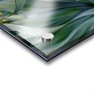Agave Dream Acrylic print