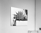 Serpents Acrylic Print