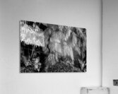 Primordial 5 Acrylic Print