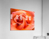 Convergence Acrylic Print