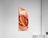 Jupiter Acrylic Print