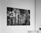 Canopy Acrylic Print