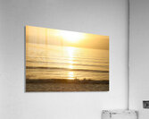 Aurum Acrylic Print