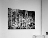 Primordial 1 Acrylic Print