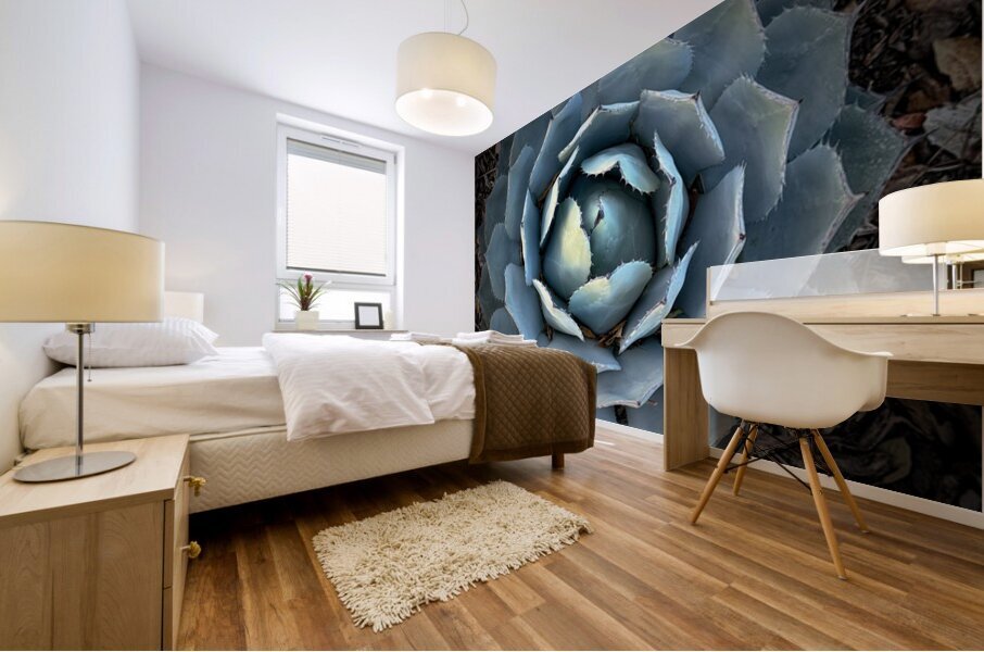 Agave Parryi Mural print