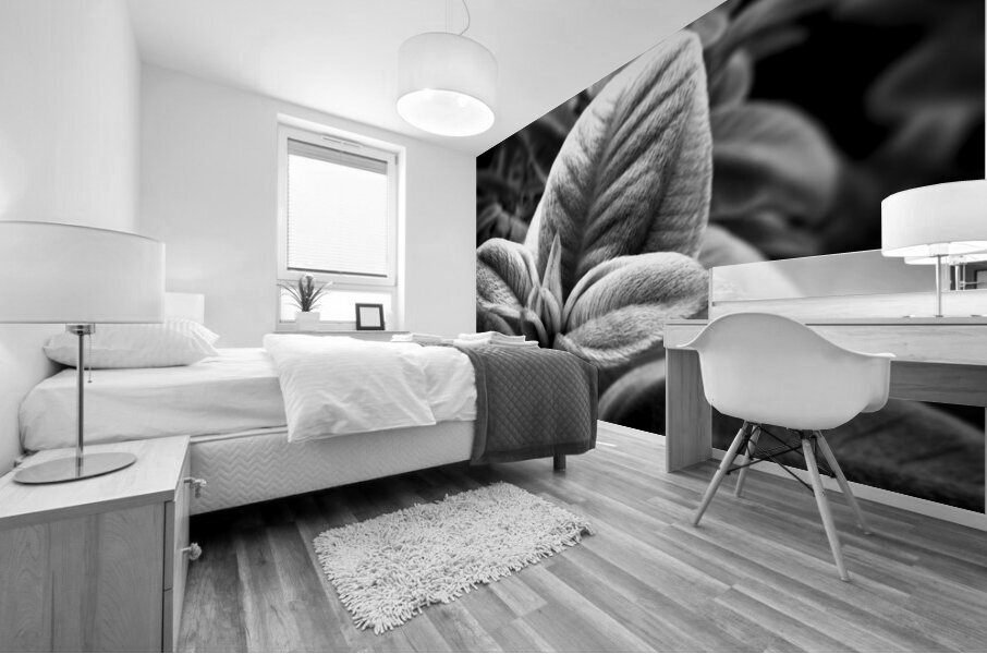 Warmth Mural print