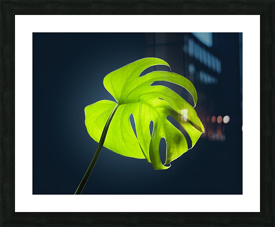 Monstera Picture Frame print