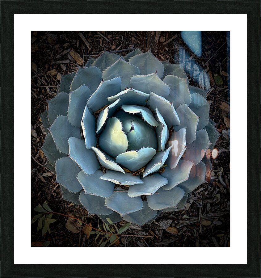 Fine Art print