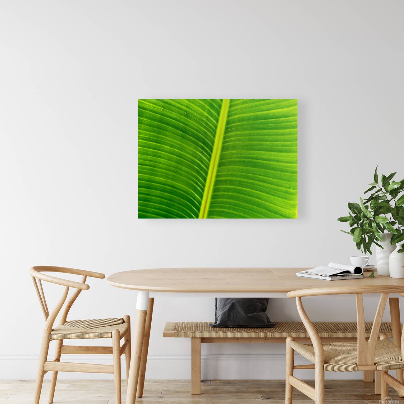 Flowing Palm Reproduction