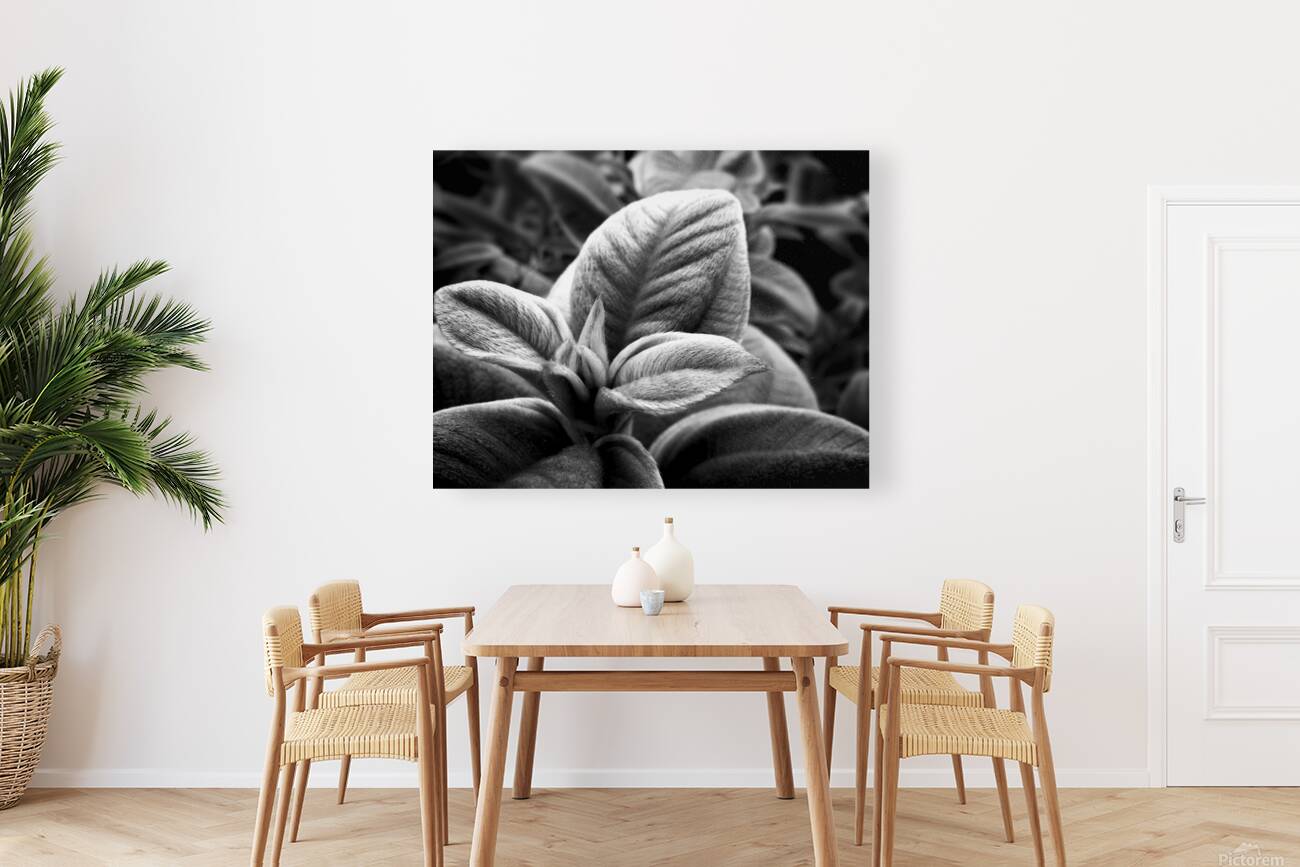 Warmth Reproduction
