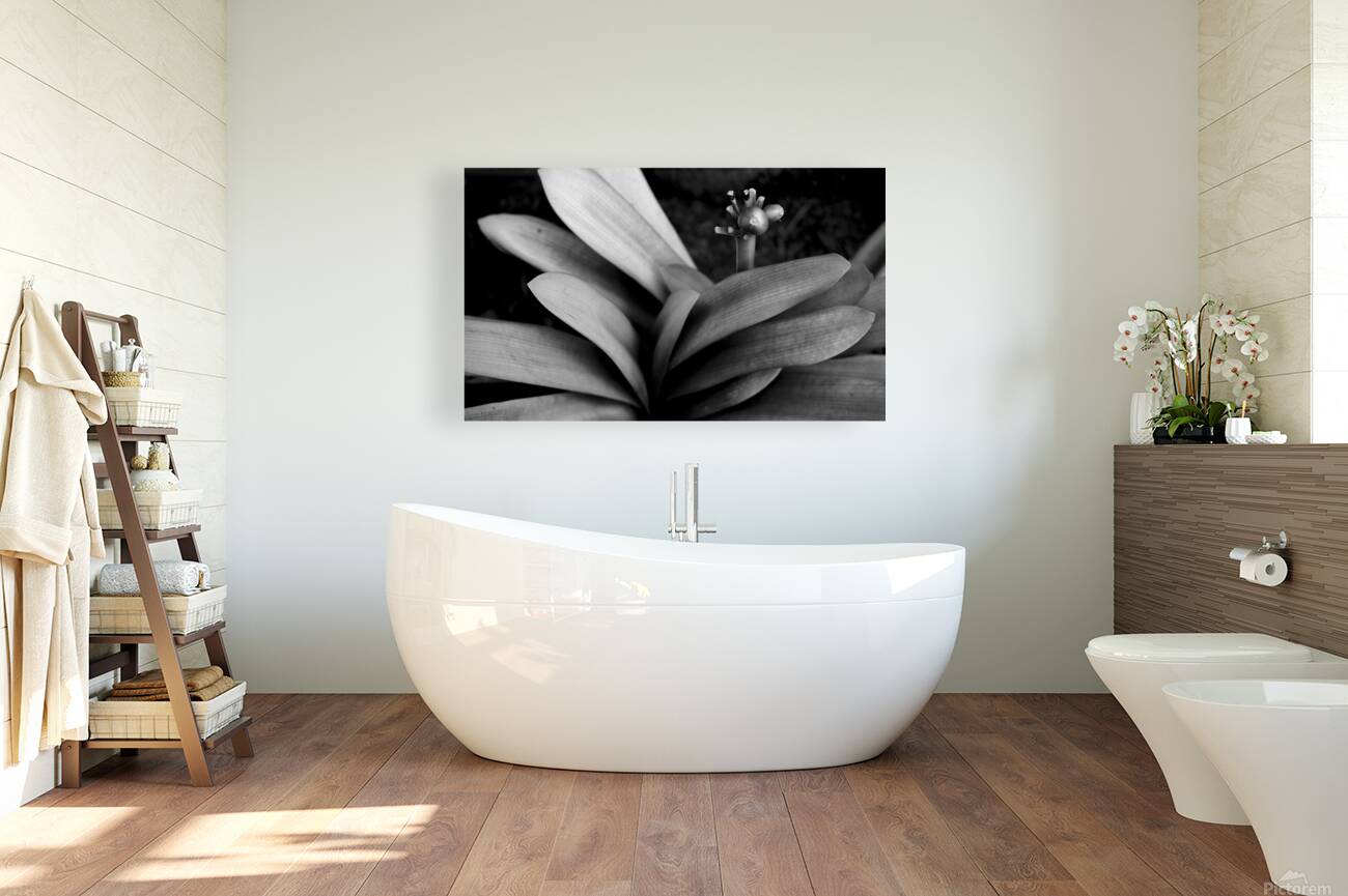 Space Garden Reproduction