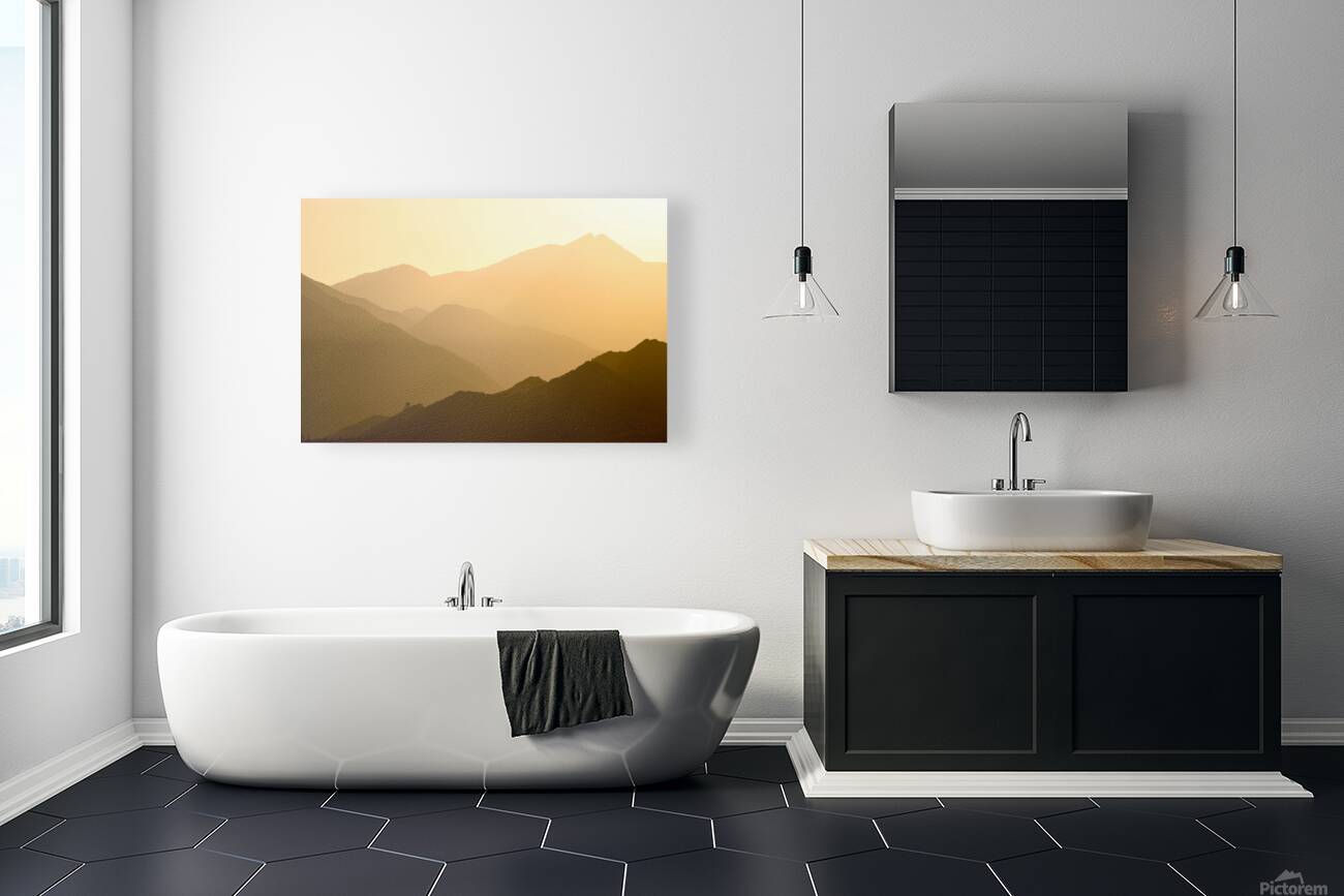 Ojai 2 Reproduction
