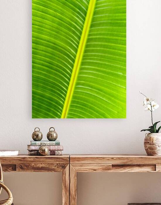 Flowing Palm 2 Reproduction
