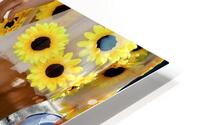 Summer Solstice HD Metal print