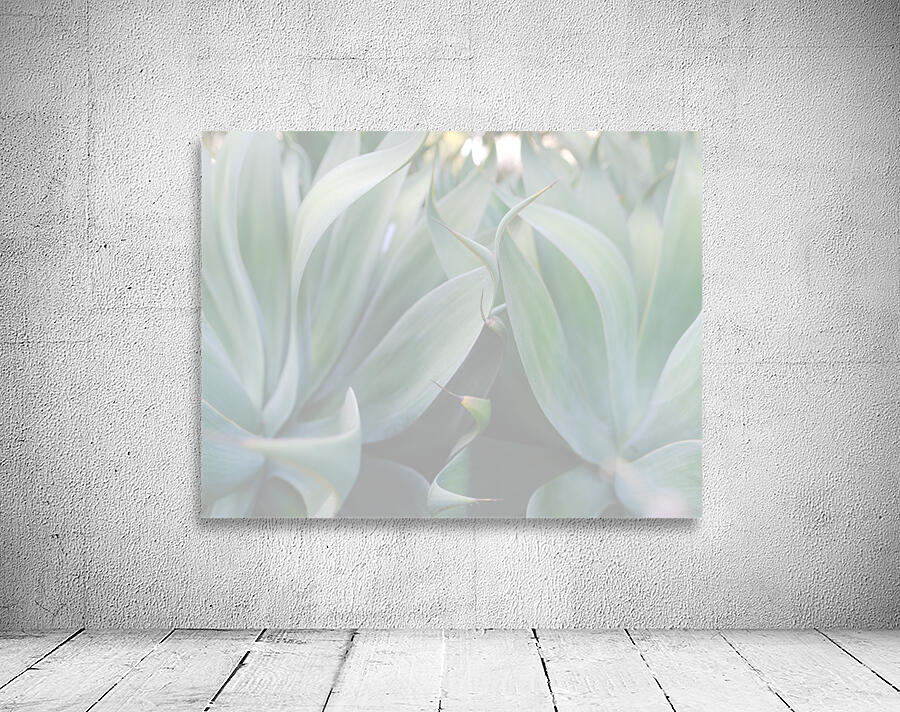 Agave Dream Wall Preview
