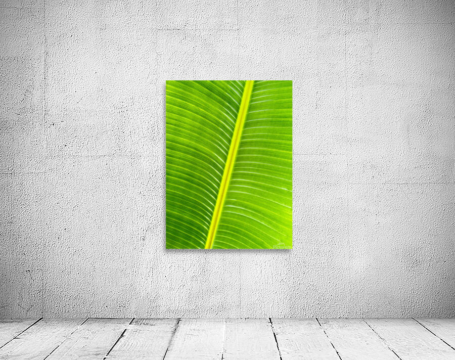 Flowing Palm 2 Wall Preview