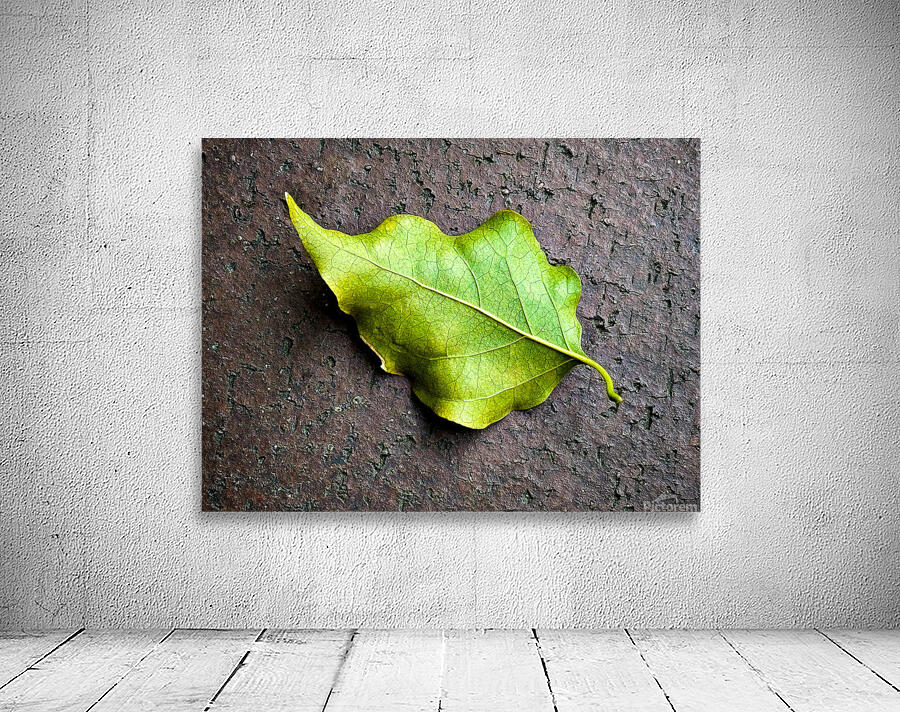 Fall Wall Preview