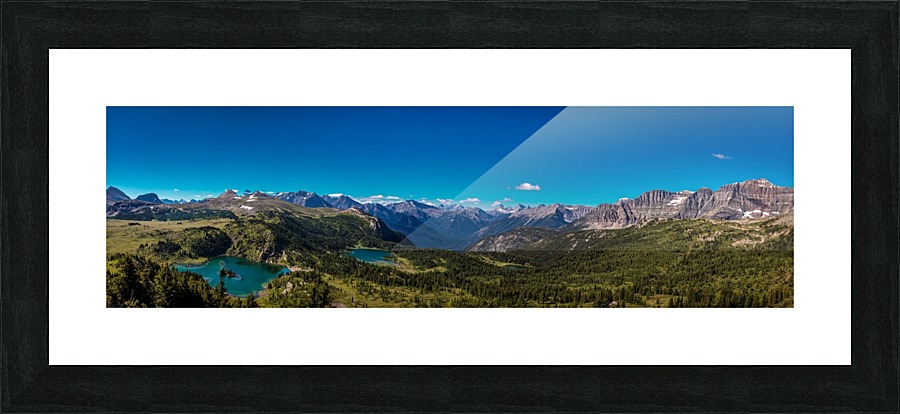 Sunshine Meadows Picture Frame print