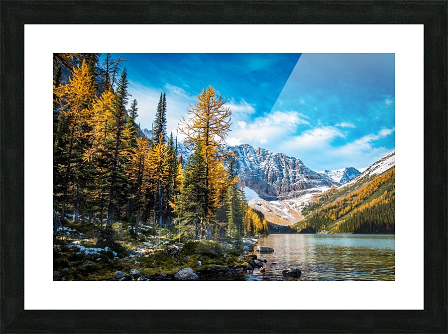 Taylor Lake Alberta Picture Frame print