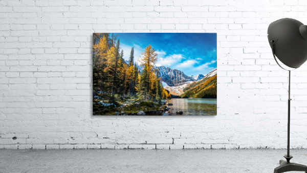 Taylor Lake Alberta Wall Preview