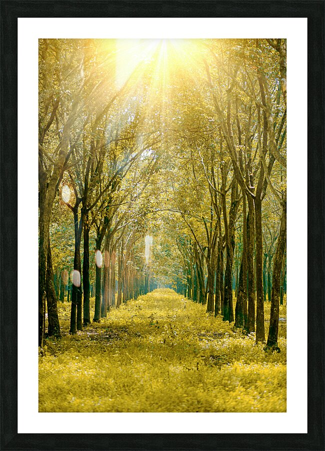 Tree road Picture Frame print