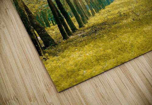 Tree road Tamer Al akshar puzzle