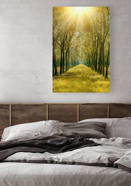 Tree road Reproduction
