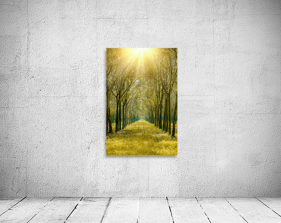 Tree road Wall Preview