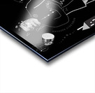 cateatskingsfish Acrylic print