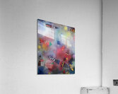 look2thesky Acrylic Print