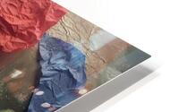 Rag2 HD Metal print