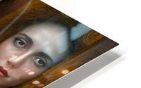 24601 HD Metal print