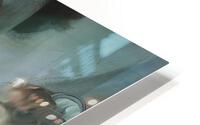 Fish Ladder HD Metal print