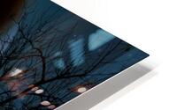 blue35 HD Metal print