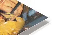 voyeur HD Metal print