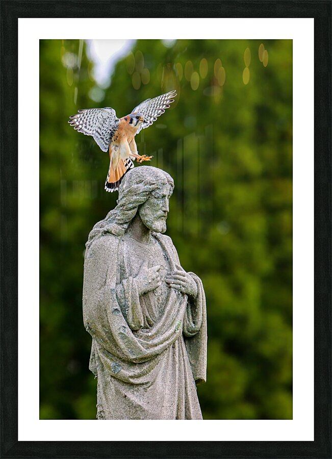  Fine Art print